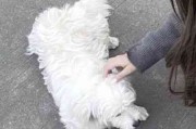 情侣头像网名个性签名全套