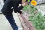 女生网名三个字的