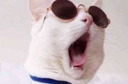 情侣头像 一人一半 配对