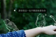 文字头像logo