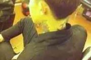 男生网名叫藤井树什么意思