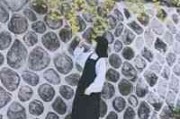 王者专属网名女生 王者专属网名女生
