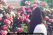 头像图片大全微信女生 头像图片大全微信女生