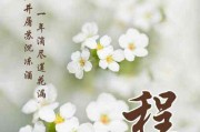 鲨鱼标志网名女生