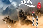 微信朋友圈头像下文字怎么编辑