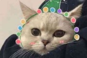 情头像情侣一左一右