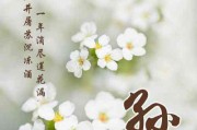 头像文字图片大全唯美
