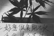 骏马英文网名 骏马英文网名