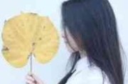 最拽得英文网名 最拽得英文网名