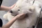 唐僧情侣头像