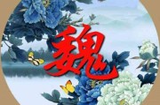 怎么在微信头像下加文字