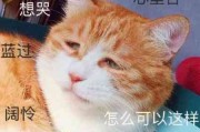 动物头像搞笑配文字