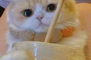 双人头像情侣