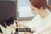 女生头像唯美清新阳光风景