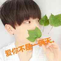 男头像动物 第2张