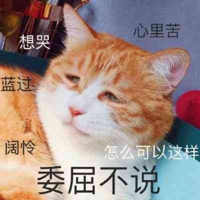 动物头像搞笑配文字 第1张