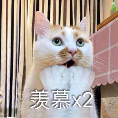 动物头像搞笑配文字 第4张