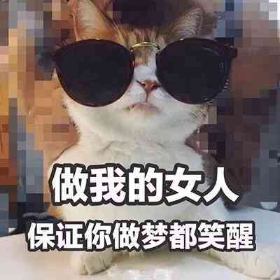 动物头像搞笑配文字 第5张