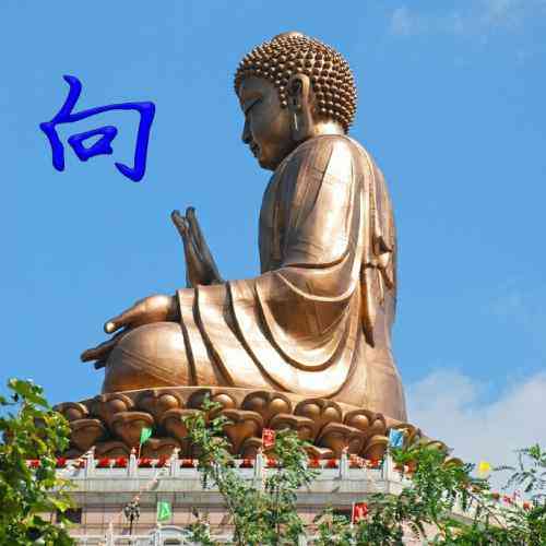 微信头像上面怎么加文字 第4张