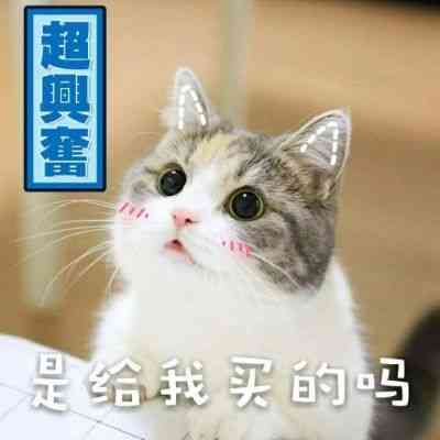 头文字d高清头像 第4张