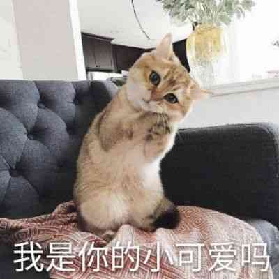 头文字d高清头像 第7张