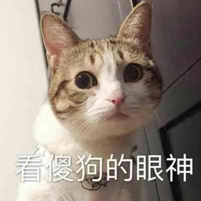 情侣头像图片400张沙雕 第3张