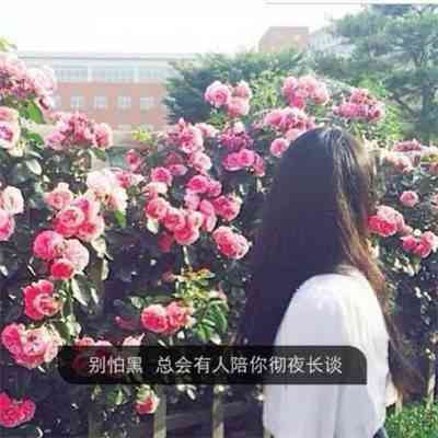 头像图片大全微信女生 第1张