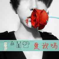姓氏网名柴男生 第1张