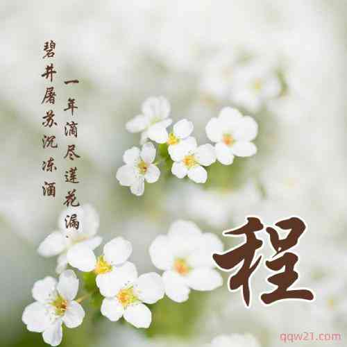鲨鱼标志网名女生 第1张