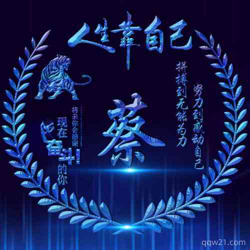 霸气冷的网名女生 第1张