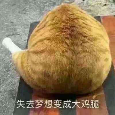 搞笑情侣头像沙雕 第6张