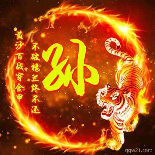 微信朋友圈头像下面的文字 第5张