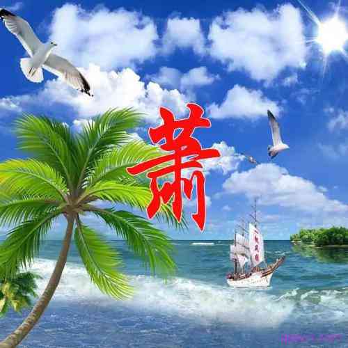 夏的姓氏文字图片头像 第2张