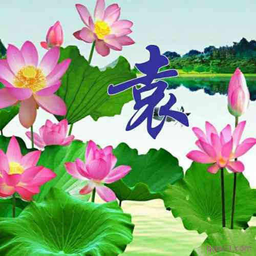 夏的姓氏文字图片头像 第6张