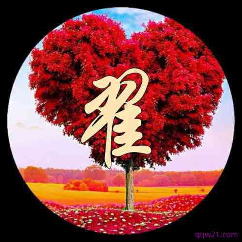怎么在微信头像设置文字 第5张