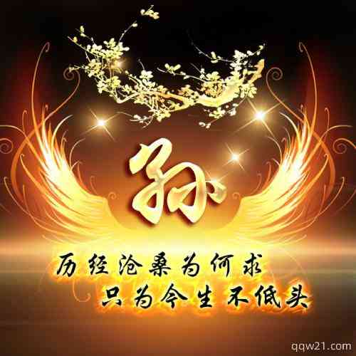 怎么在微信头像设置文字 第9张