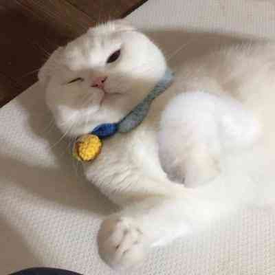 情侣头像一男一女蓝色天空 第3张