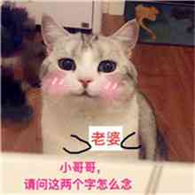 带文字的微信头像 第3张
