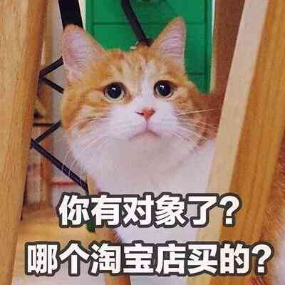 汤姆猫头像带文字 第2张