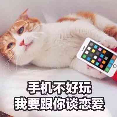 汤姆猫头像带文字 第3张