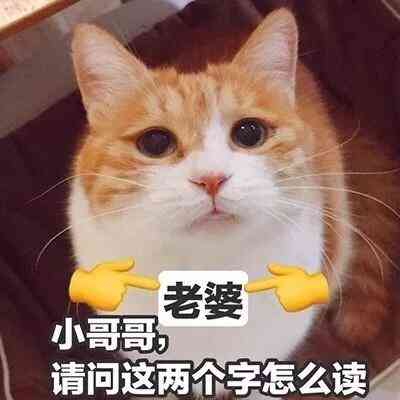 汤姆猫头像带文字 第6张