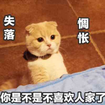 汤姆猫头像带文字 第4张