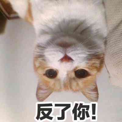 汤姆猫头像带文字 第9张