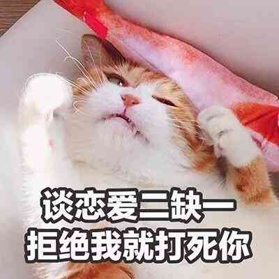 汤姆猫头像带文字 第8张