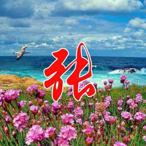 真正的文字微信头像 第4张