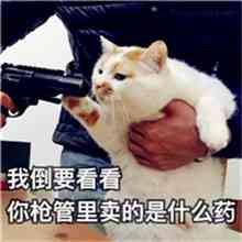 李姓微信头像带文字 第9张