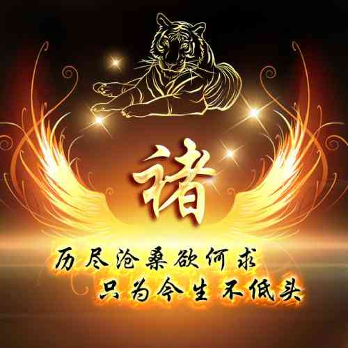 2023微信头像文字 第8张