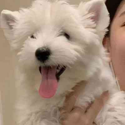 真人头像情侣专用 第5张