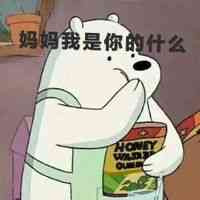 卡通动物头像简笔画图片大全 第3张