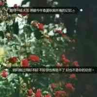 怎么把头像加上文字 第3张